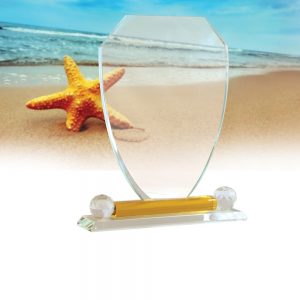 CT 009 crystal trophy Size H 25 X 21 cm
